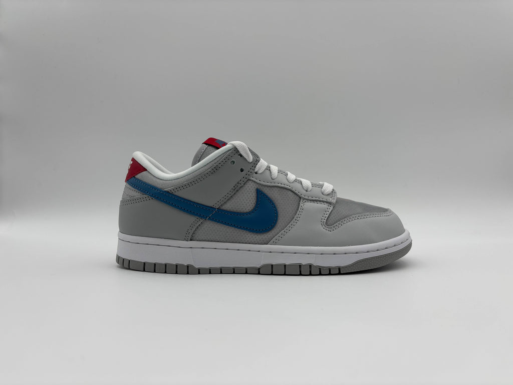Nike Dunk Low Silver Surfer