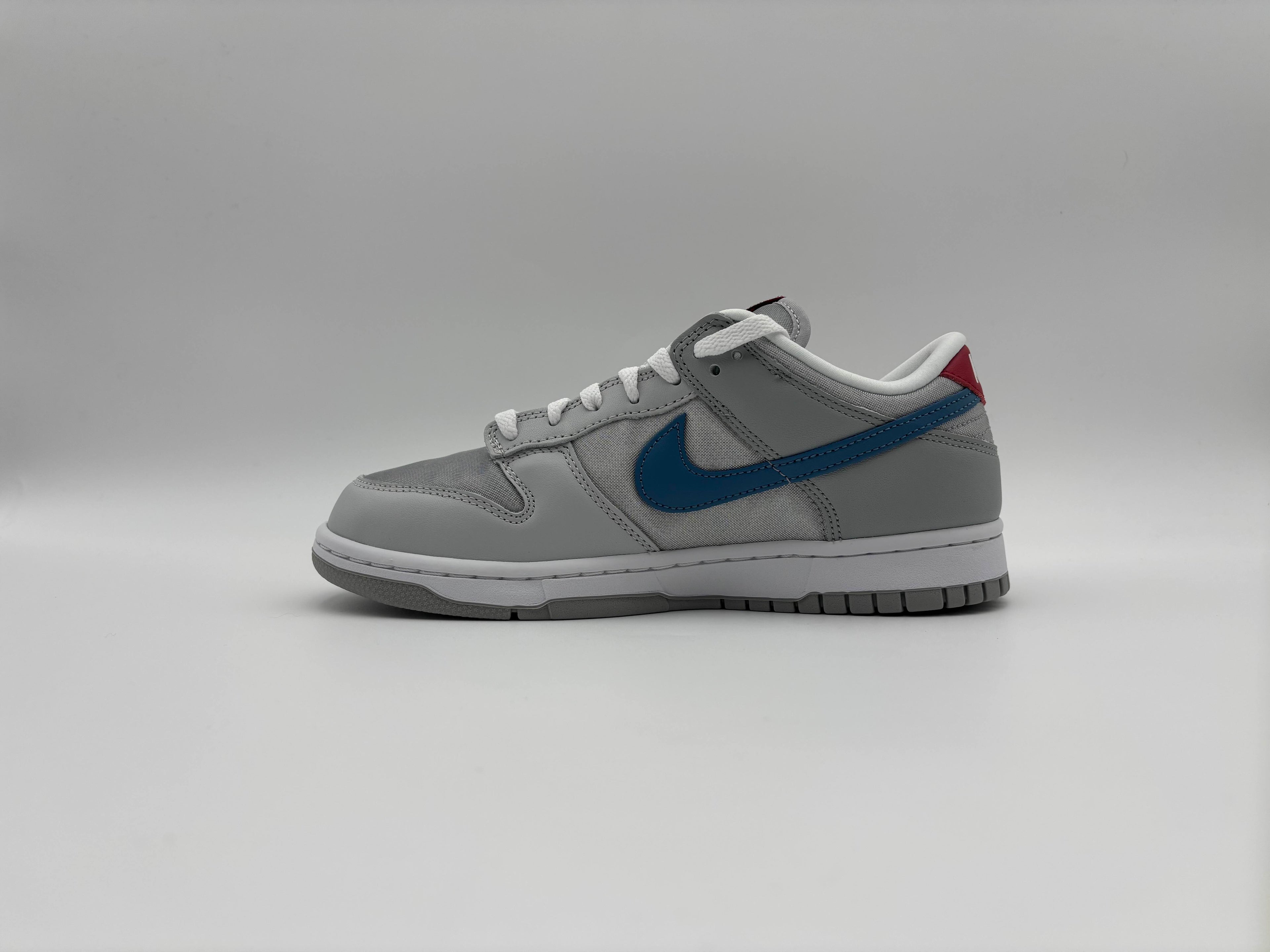 Nike Dunk Low Silver Surfer