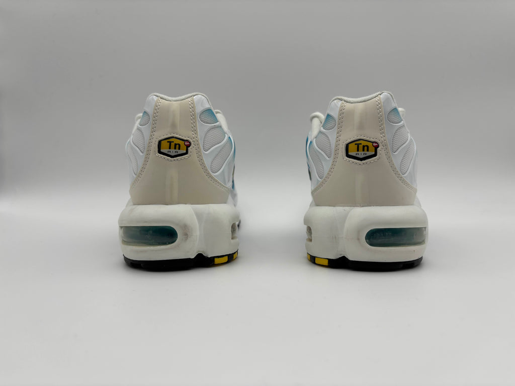 Nike Air Max Plus Spray Paint Swoosh White Blue