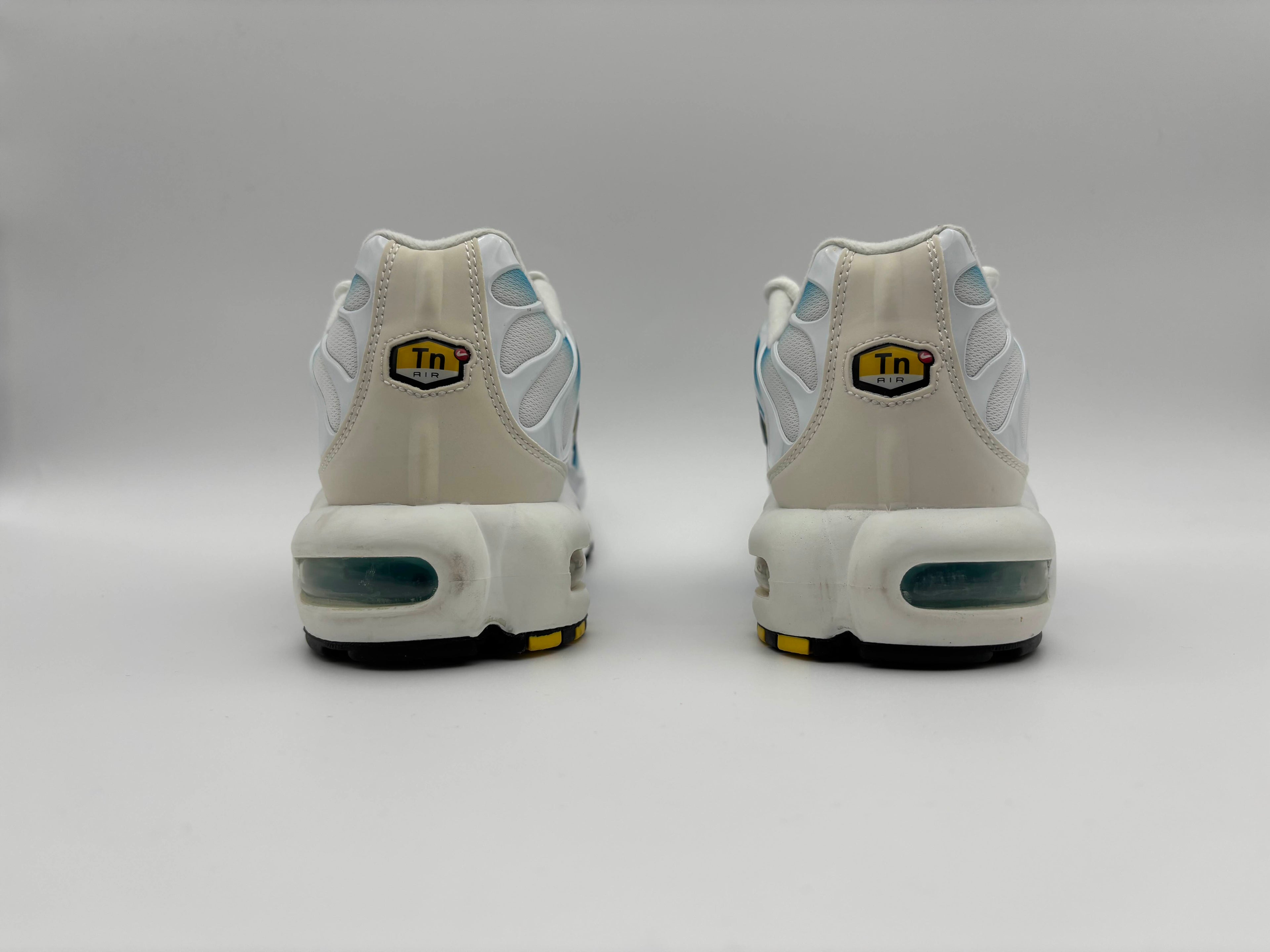 Nike Air Max Plus Spray Paint Swoosh White Blue