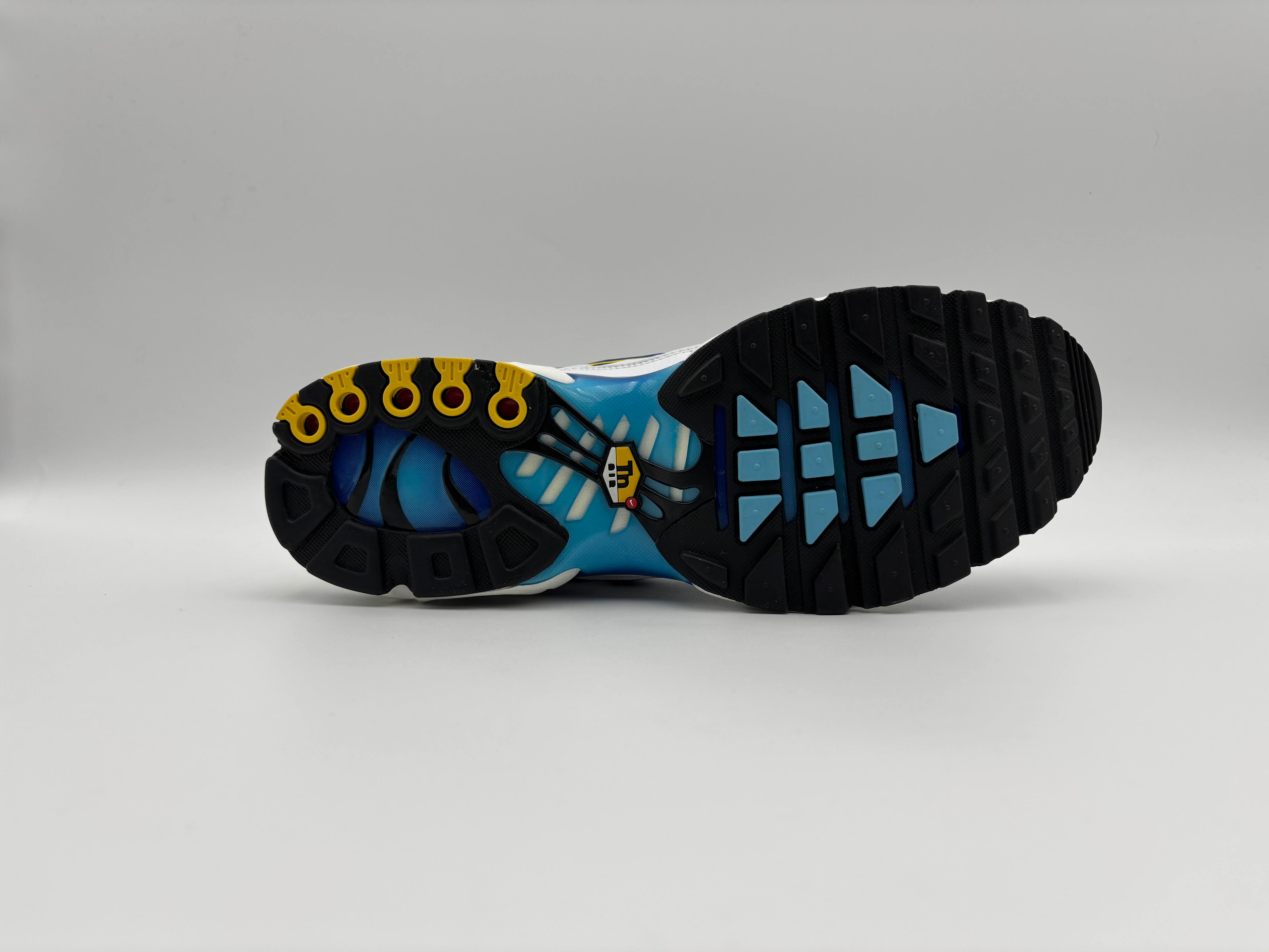 Nike Air Max Plus Spray Paint Swoosh White Blue